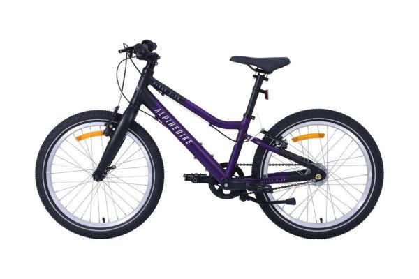 Велосипед Alpinebike Pegas 3-20 (2025) Велосипед Alpinebike Pegas 3-20 (2025)